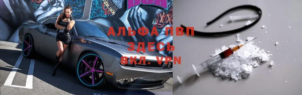 PSILOCYBIN Лихославль
