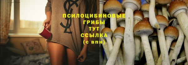 МДПВ Бугульма