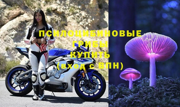 mdpv Магас