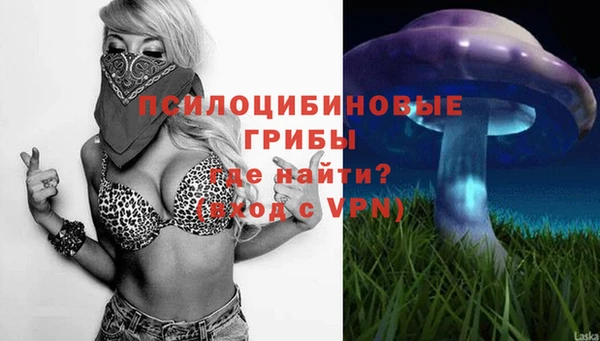 герыч Бородино