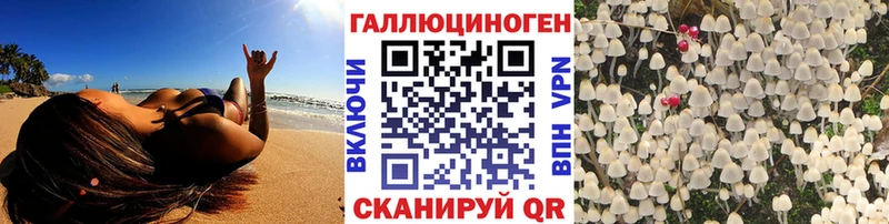 дарнет шоп  Ханты-Мансийск  Галлюциногенные грибы GOLDEN TEACHER 