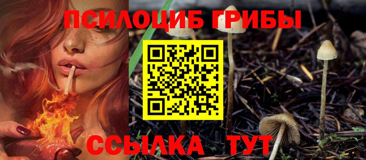 Псилоцибиновые грибы ЛСД  Вход с VPN  Ханты-Мансийск  как найти наркотики  Псилоцибиновые грибы Magic Shrooms 