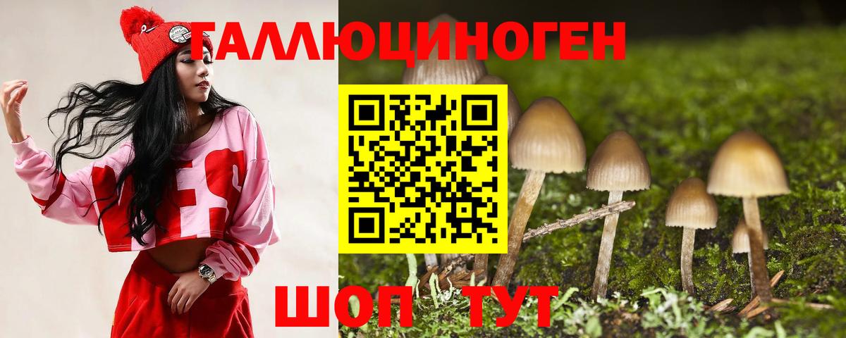Псилоцибиновые грибы Psilocybe  Ханты-Мансийск 